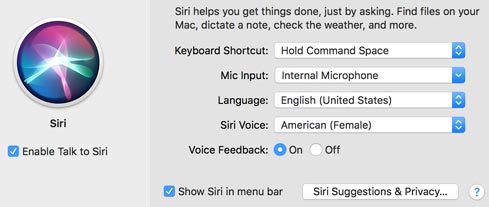 siri setting