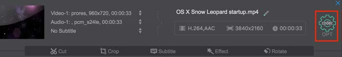 macXvideo Codec
