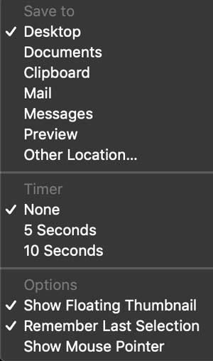 Screenshot options